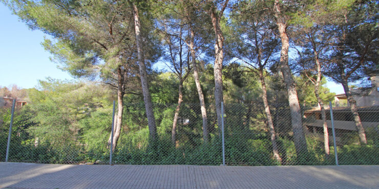 Baugrundstück im Südwesten von Mallorca in Strandnähe